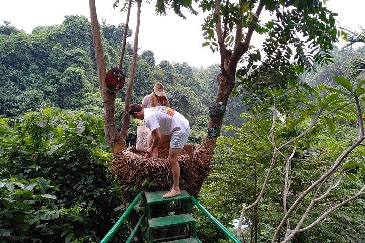 Tour della luna di miele di Bali