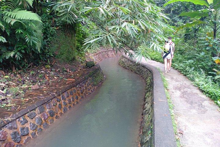 Tour della luna di miele di Bali