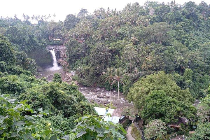 Bali Island Tour mit Mittagessen