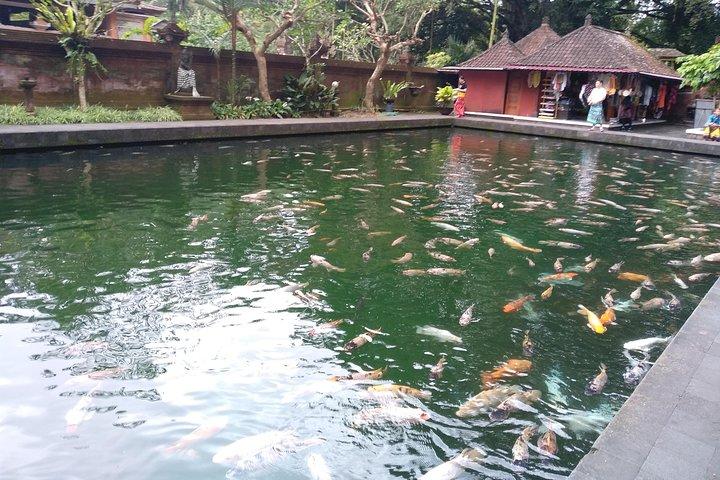 Bali Island Tour mit Mittagessen
