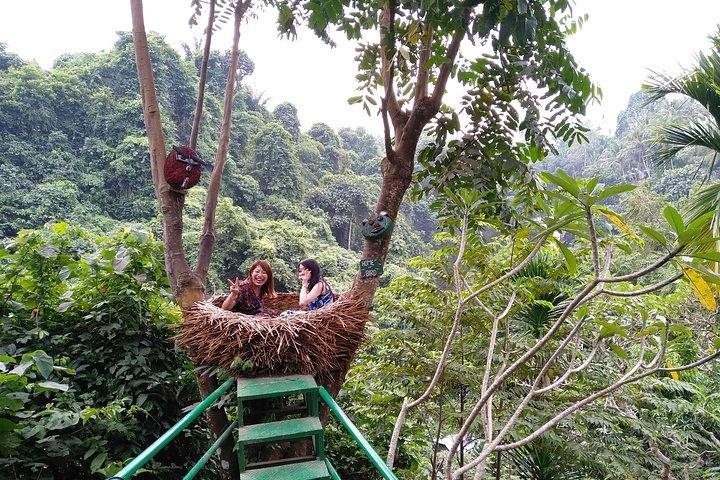 Bali Island Tour mit Mittagessen