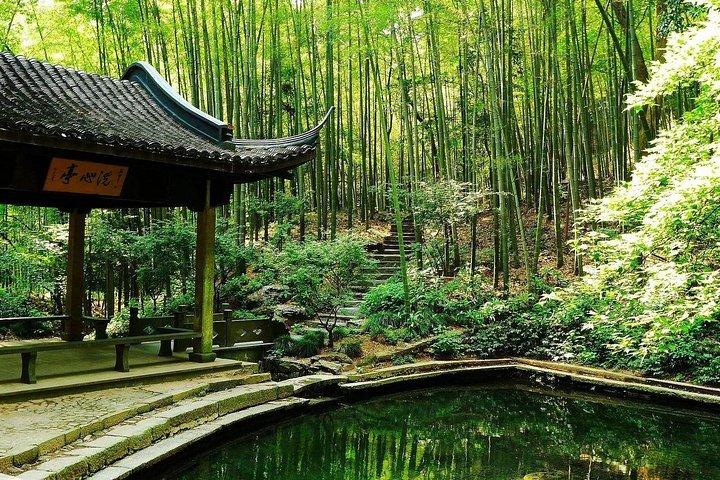 Excursión de un día a Yunxi con el bosque de bambú y el lago oeste con experiencia en plantaciones de té