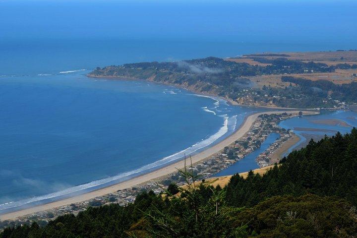 Ontdek de natuurlijke wonderen van Point Reyes en de oude sequoia's all-inclusive