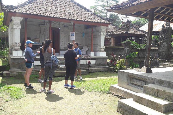 Bali Eco & Educational Cykeltur