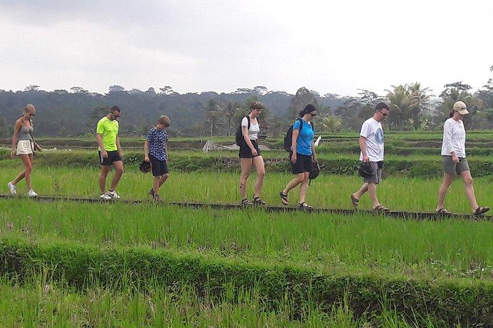 Bali Eco & Educational Cykeltur