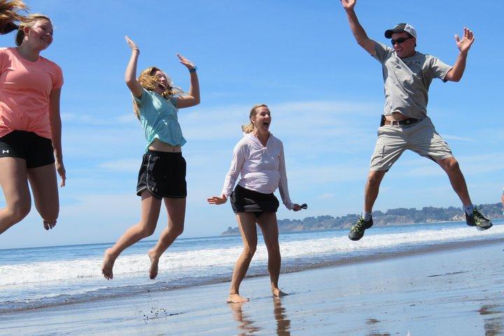 Ontdek de natuurlijke wonderen van Point Reyes en de oude sequoia's all-inclusive