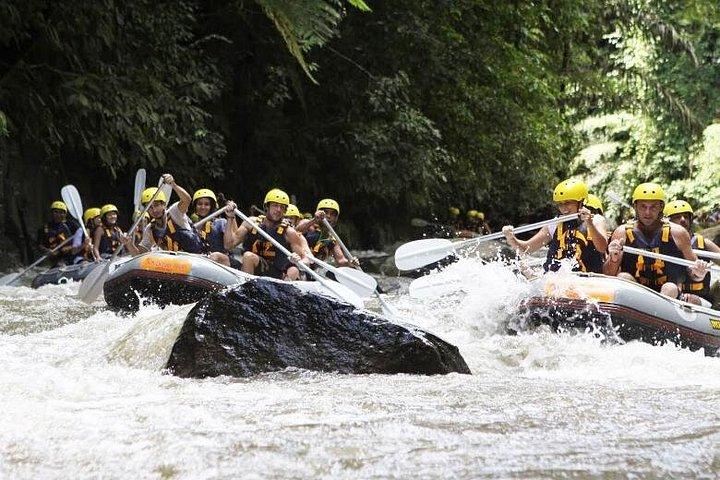 Bali Mason Adventure White Water Rafting