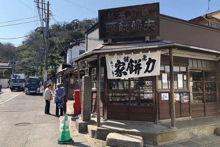 Kamakura Scenic Bike Tour