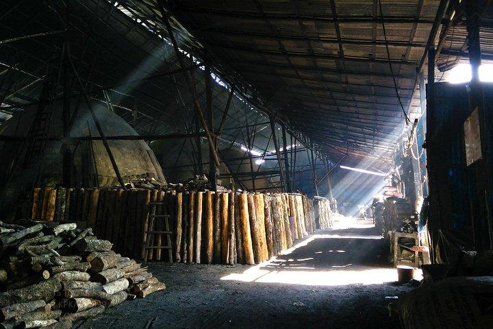 Tour Privado: Hotéis perto de Ipoh Secrets Taiping Heritage & Orang Utan Island