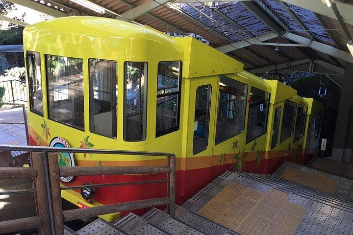 温泉付き高尾山終日ハイキングツアー