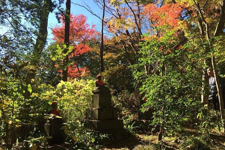 温泉付き高尾山終日ハイキングツアー