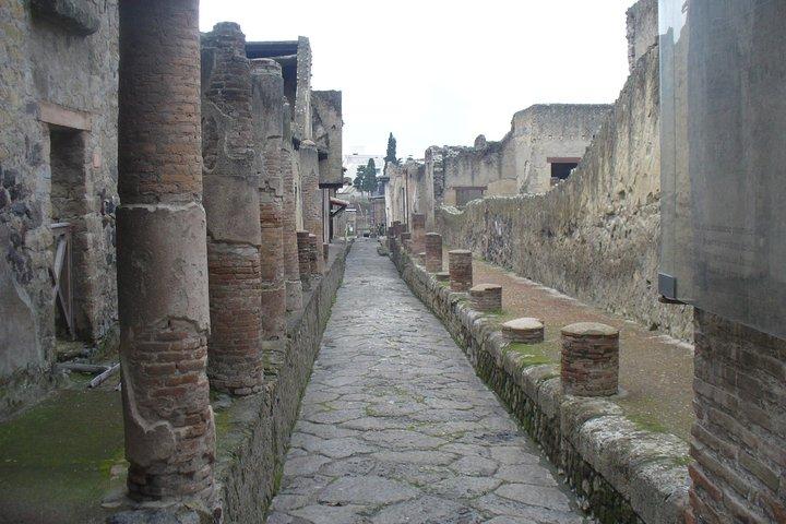 Tour of the Ruins: Hercolaneum, Oplontis, Pompeii (FullDay 8h)