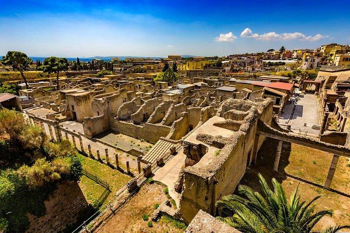 Tour of the Ruins: Hercolaneum, Oplontis, Pompeii (FullDay 8h)