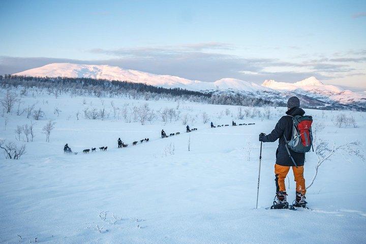 Caminata guiada por la mañana con raquetas de nieve