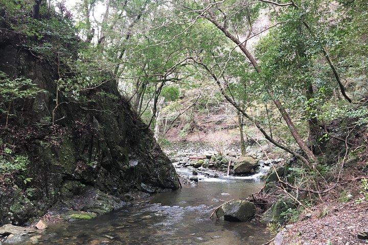 大阪で一番の自然と滝、箕面公園の自然散策