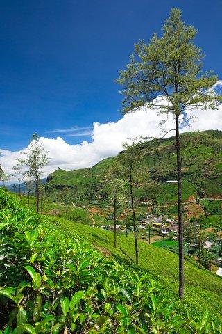 Misty Mountain Trails from Bentota (2 giorni)