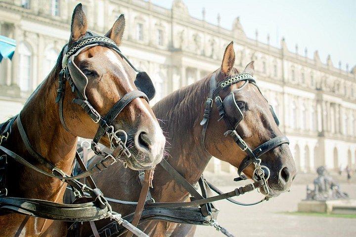 Private Transfer from Vienna to Munich with 2 hours for sightseeing
