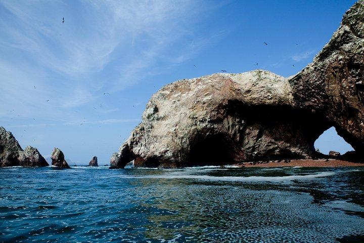 Ballestas Islands tour from Pisco CRUISESHIP TERMINAL