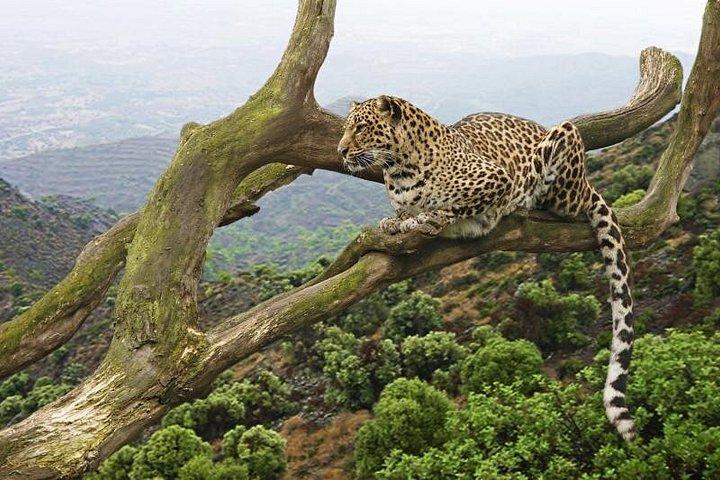 Day Tour in Arusha National Park