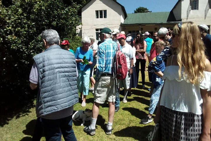 Kiambethu Tea Farm Day Tour from Nairobi