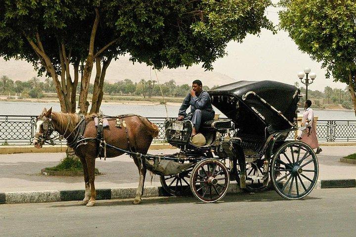 Luxor City Tour By Horse Carriage