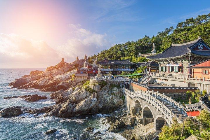 Cruise Layover: kleine groep Busan hoogtepunten dagtour