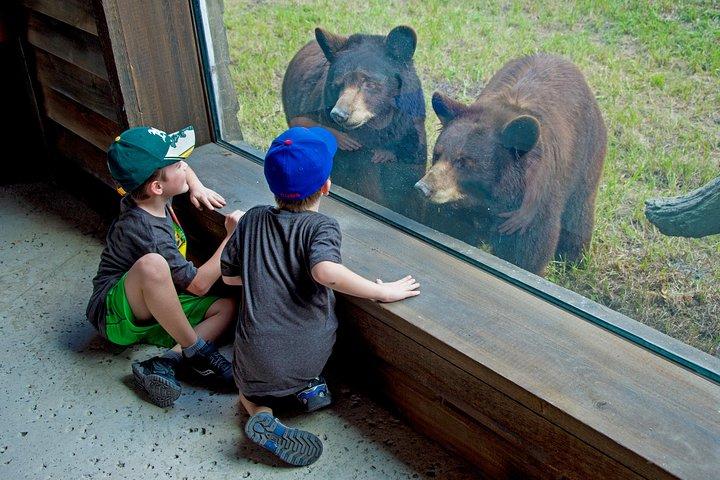 オプションのアップグレード付きマイアミ動物園チケット