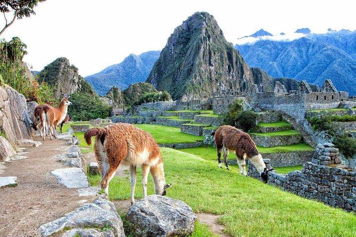 Machu Picchu met de auto (2 dagen)