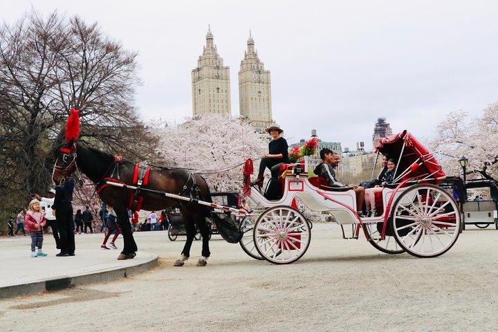 セントラル パークのニューヨーク市馬車乗車 (50 分、大人 4 名まで)