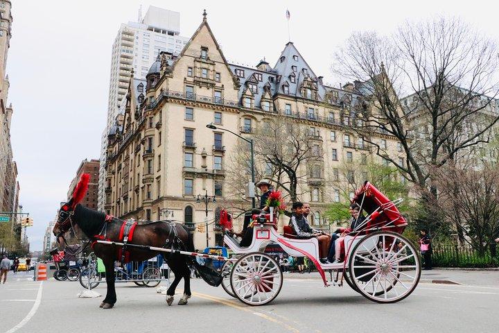 セントラル パークのニューヨーク市馬車乗車 (50 分、大人 4 名まで)