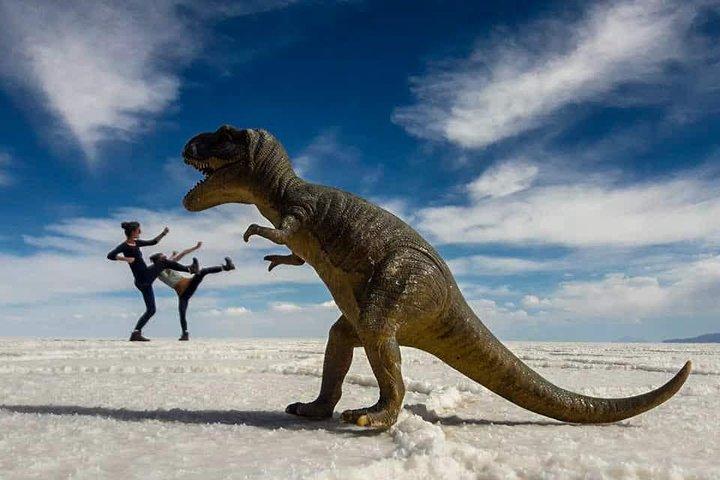 Full-day Uyuni Highlights Tour - Driver/Guide