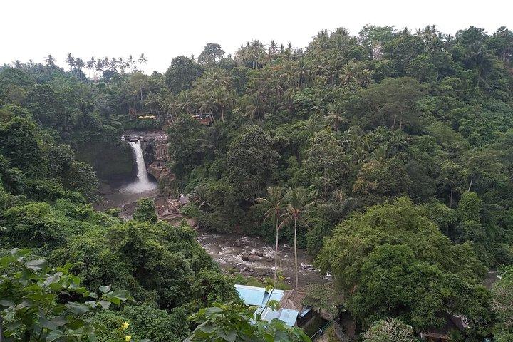Ubud Day Tour med frokost