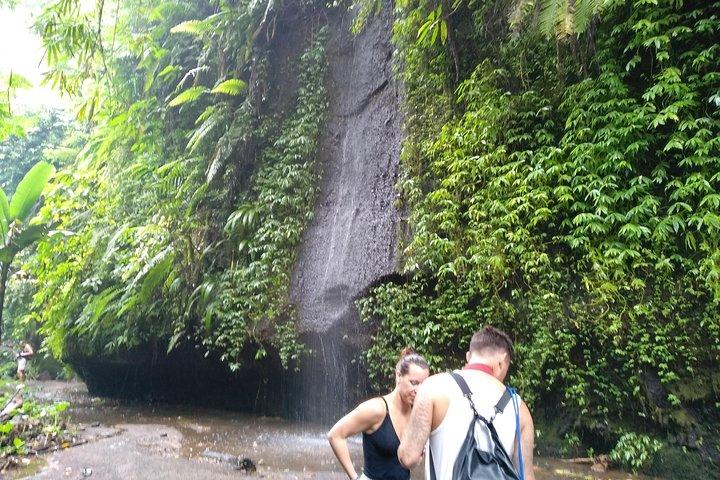 Ubud Day Tour med frokost