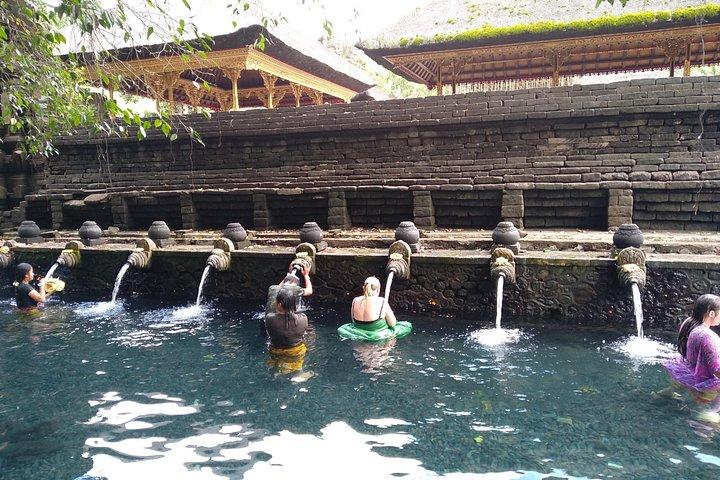 Ubud Day Tour med frokost