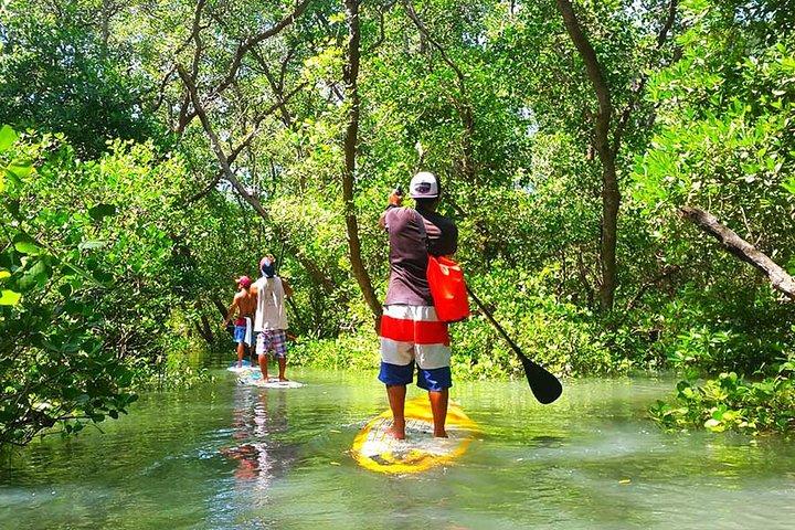 Stand Up Paddle Lesson Bali avec instructeur professionnel