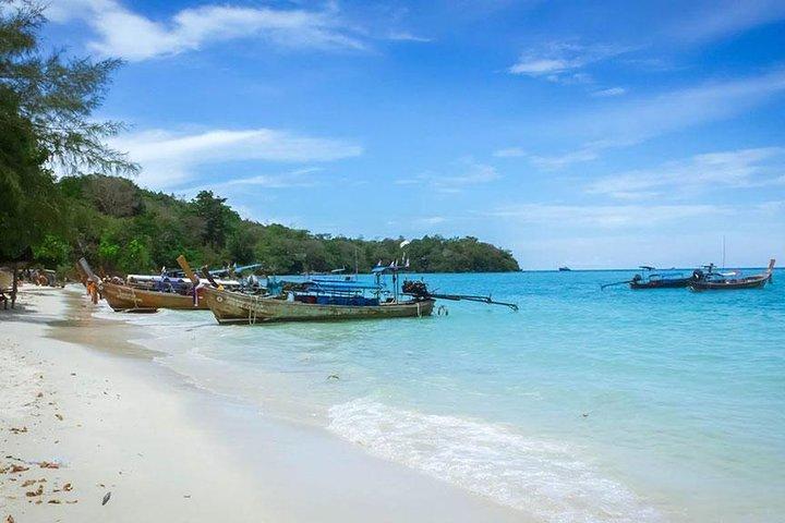 Phi Phi Island Halvdagstur fra Phi Phi ved Longtail Boat