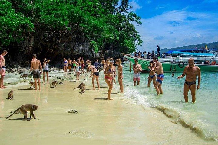 Phi Phi Island Demi-journée sur Phi Phi en Longtail Boat