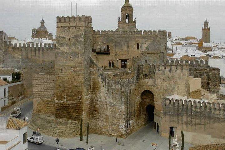 Privérondleiding van 5 uur door Carmona en Sevilla vanuit Sevilla