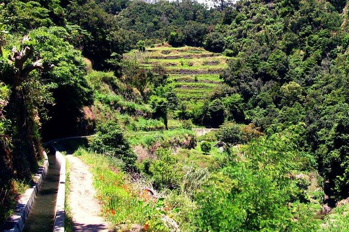 Levada dos Maroços