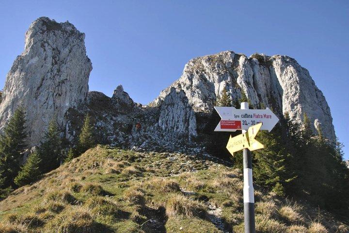 1 dia CAMPANHA PEPÉS & CHALETS caminhada