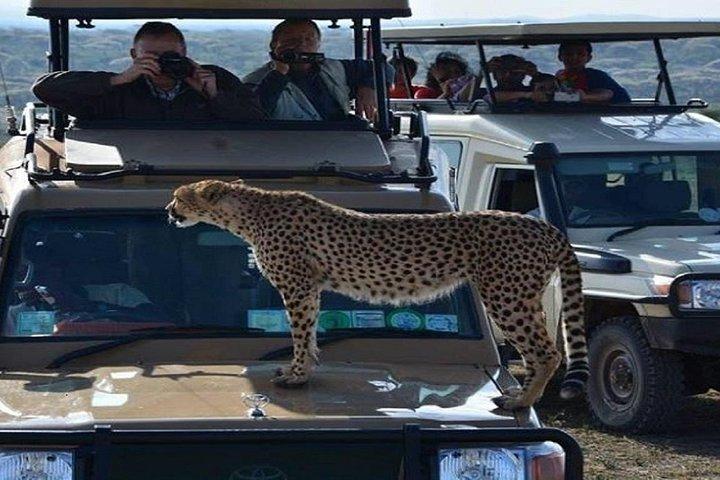 4 Días 3 Noches - Cráter Ngorongoro y Serengeti