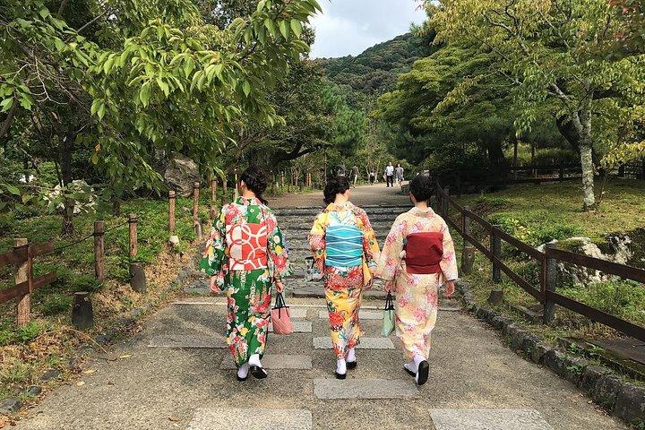 京都祇園 地元ガイド付きプライベートツアー - 芸者街
