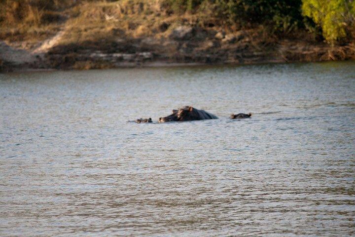 Dagtrip Chobe - Van Victoria Falls