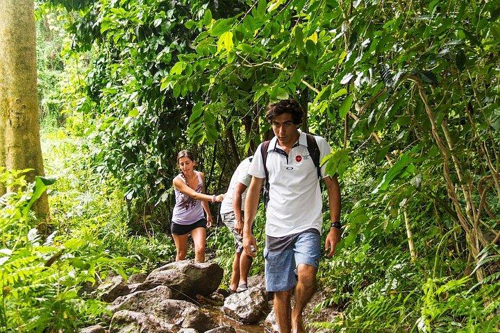 Oahu friendly hiking experience