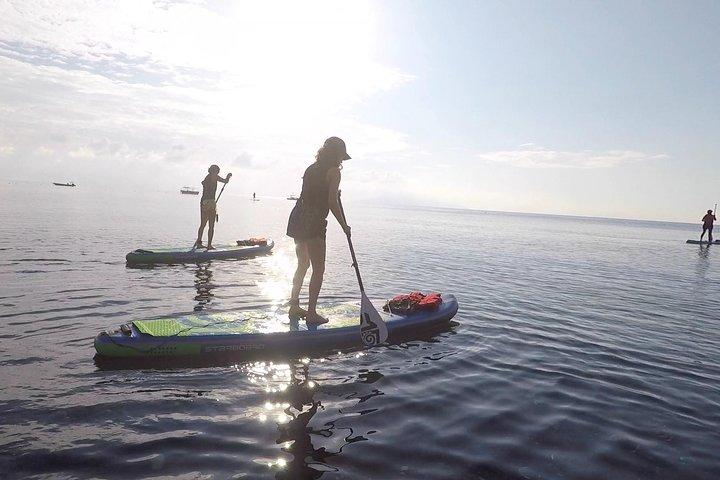 Stand-Up-Paddle- und Schnorchelabenteuer auf Santorin