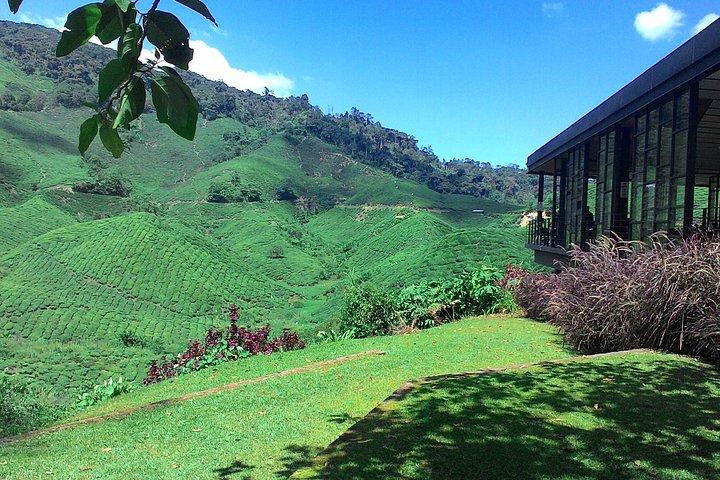 Cameron Highlands 3 Tage 2 Nächte Private Touren (pro Fahrzeug)