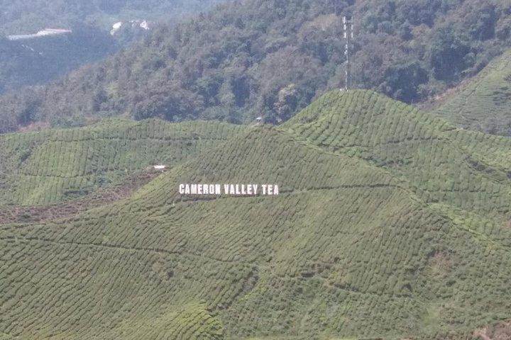 Cameron Highlands 3 Tage 2 Nächte Private Touren (pro Fahrzeug)