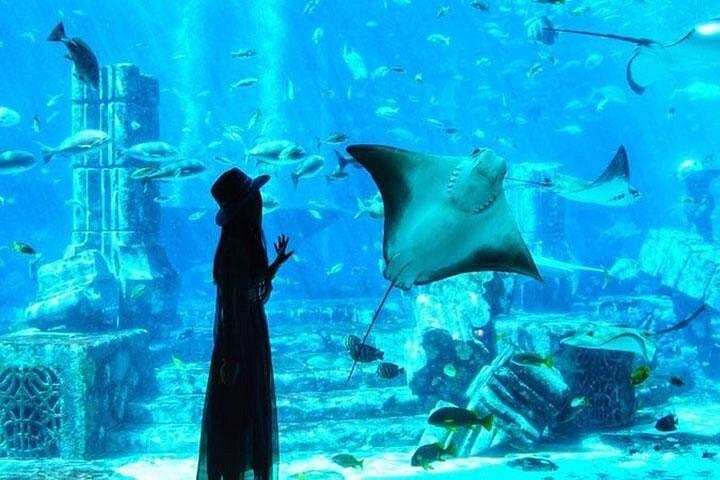 砂漠サファリとイフタールのプライベートドバイラマダン文化体験ツアー
