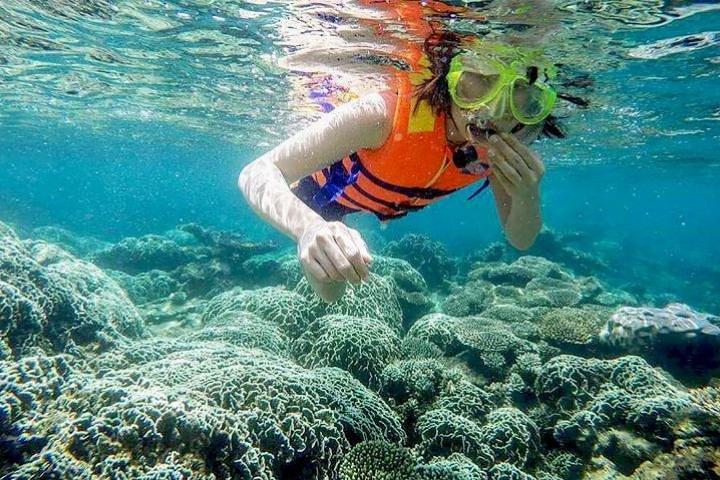 Fra Mui Ne til Vinh Hy Bay Snorkel- og fisketur | Dagstur