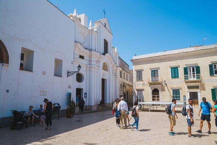 Explorando Capri e Anacapri de Roma: Viagem de dia e cidade